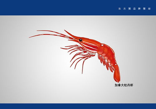 大連平面設(shè)計與動畫制作中如何應(yīng)對思路打斷的困擾